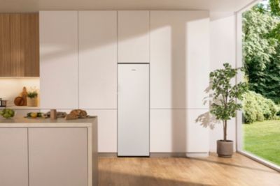 Congélateur armoire GORENJE FN417DCW
