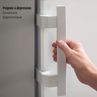 Congélateur armoire LIEBHERR FNe 5217-20