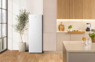Congélateur armoire GORENJE FN417DCW