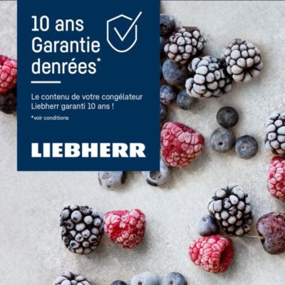 Congélateur coffre LIEBHERR CFE2500-26