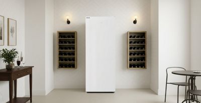 Congélateur armoire BEKO B1RFNE204WFR