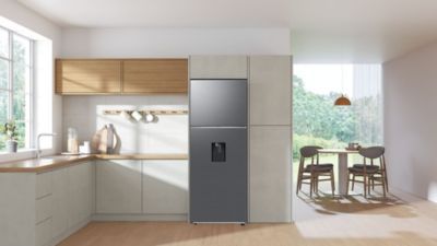Réfrigérateur 2 portes SAMSUNG RT47CG6726S9
