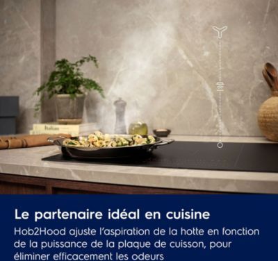 Hotte décorative murale ELECTROLUX LFT816K