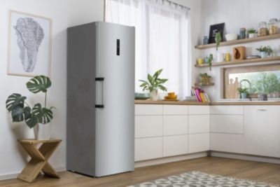 Réfrigérateur 1 porte GORENJE R619DAXL6