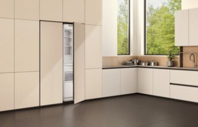 Congélateur encastrable SAMSUNG BRZ22600EWW/EF